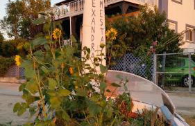 Alexandra Homestay - Foto 7