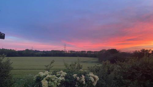 Holiday home in Furzehill - Foto 4