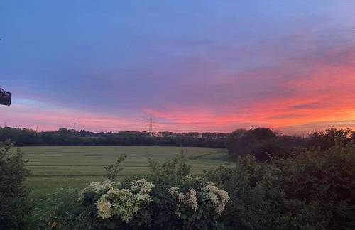 Holiday home in Furzehill - Photo 4