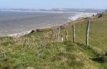 RACINES MARINES - Foto 22