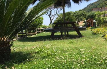 Agriturismo del Sole - Foto 57