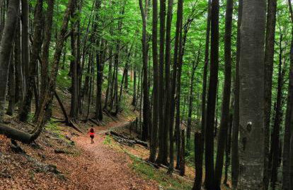 Apartments Blue & Green - Foto 64