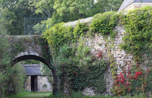 Maison du Chapelain : Charme en Suisse Normande, Animaux acceptés - FR-1-497-54 - Foto 18