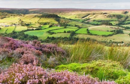 Dovecote House - Luxury Town House - Dog Friendly - Foto 50