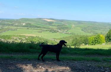 Beautiful 18th century cottage in Arundel - Foto 32