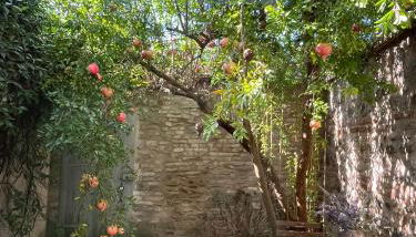 Casa evelina - Foto 4