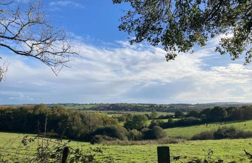 Barefoot Yurts - Photo 22