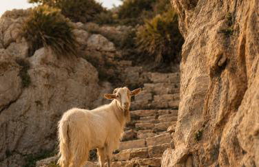 Finca Dariana Padel & Pool - Foto 67