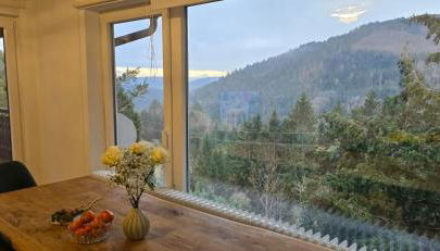 Wohnung im Schwarzwald mit Panorama Blick - Foto 3