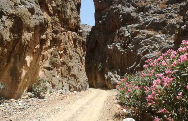 Asterousia Mountain & Villages Jeep Safari - Foto 7