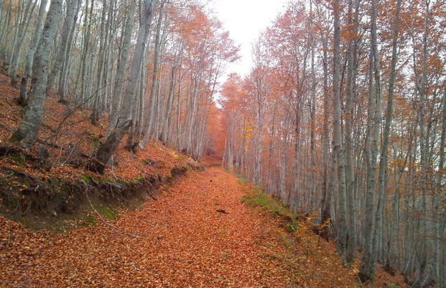 Apartamentos Turísticos Real Valle Ezcaray - Foto 38