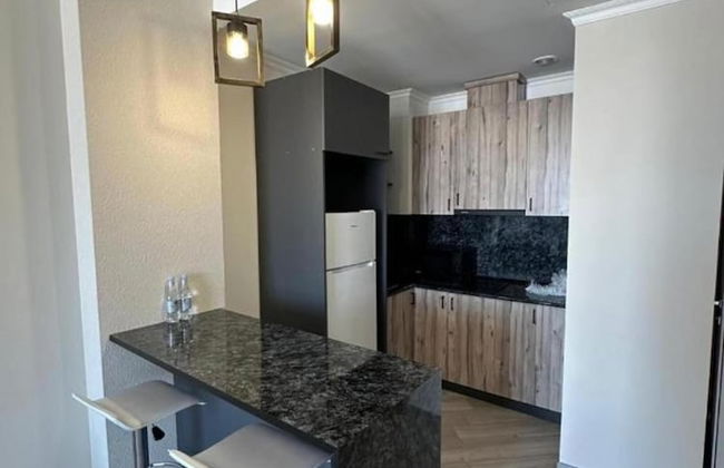 1BR with Balcony Pool & Sauna - Photo 2