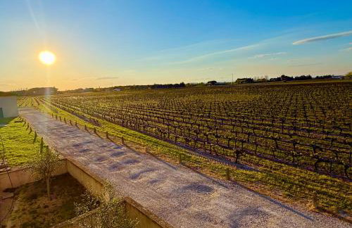 Les Appartements du Mas - EMERAUDE - Foto 18