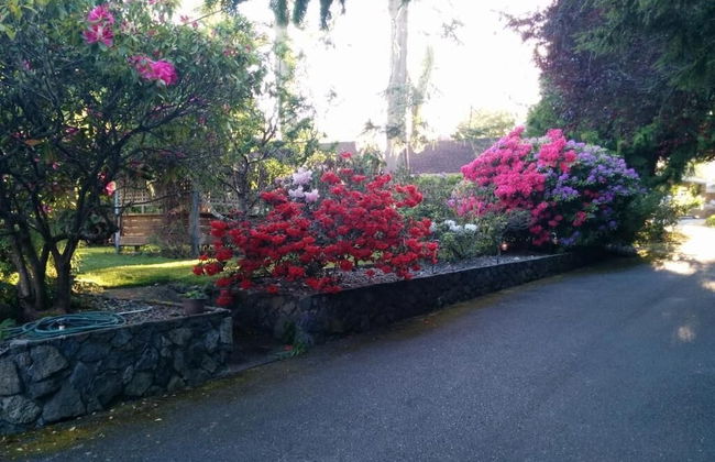 Salty Towers Oceanfront Cottages - Foto 30