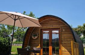 Quinta Lama de Cima - Foto 10