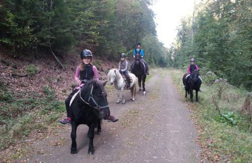 Urlaub auf dem Bauernhof Marx - Foto 27