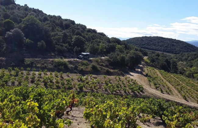 Bélesta Vineyards Jeep Tour - Photo 6