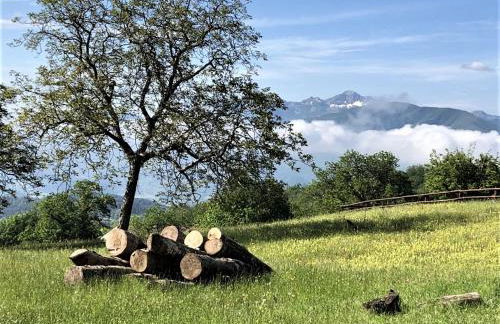 Apartment Casa Gianfrati - Foto 52