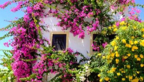 Casa Portuguesa - Foto 3