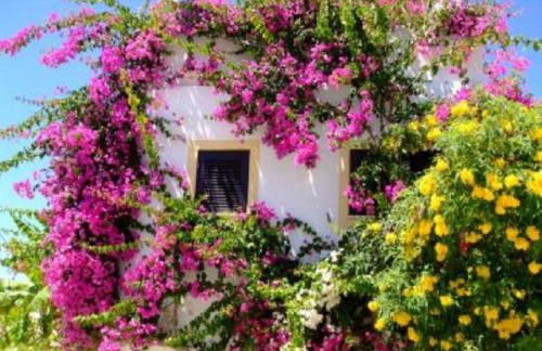 Casa Portuguesa - Foto 3