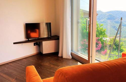 ValdoCaban: Oasis among the Vines - Foto 1