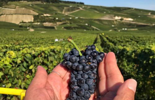 Secret Garden - Foto 31