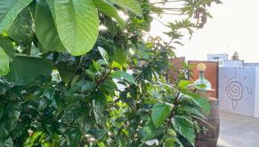 Jardín del mar - Foto 5