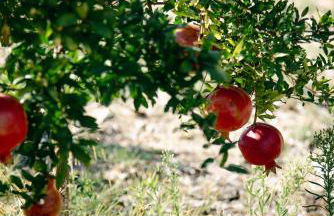 Kukutseli Country Living by WhiteDream Villas - Foto 18