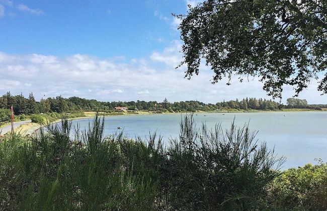 4 Person Holiday Home in Martofte - Foto 43