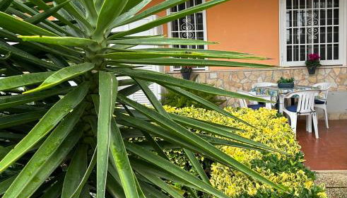 Demetra Apartment Sperlonga - Foto 3, Garden