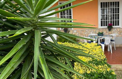 Demetra Apartment Sperlonga - Foto 3