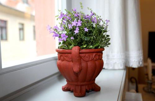 Apartment Am Markt 16, Bandusch-Szemák - Foto 16