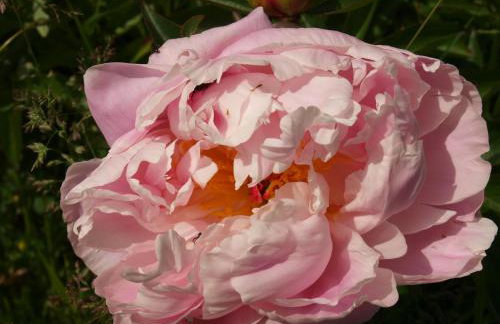 Le Hibou - La Cipière Gîtes - Foto 27