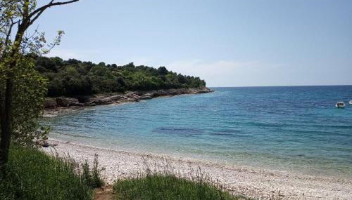 Apartman Suzy - Photo 2