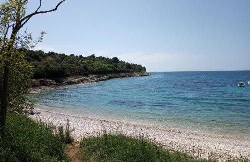 Apartman Suzy - Photo 2