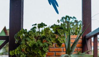 pousada santa Genoveva Campeche 2 - Foto 2