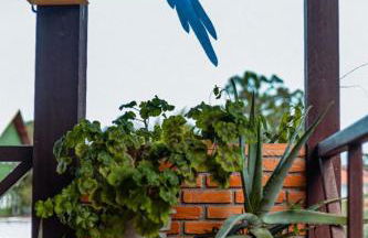 pousada santa Genoveva Campeche 2 - Foto 2