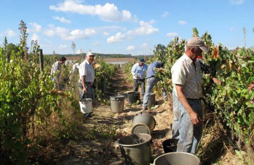 Quinta do Sanguinhal - Foto 50