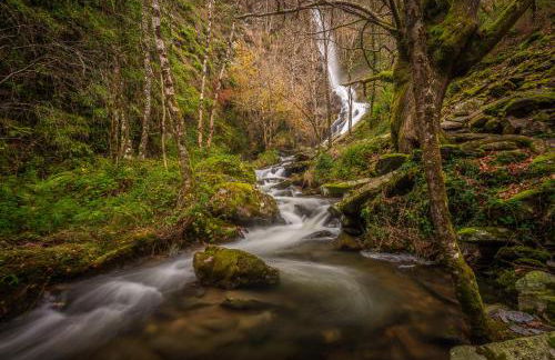 Apartamentos Rurales TIN TURISMO - Foto 79