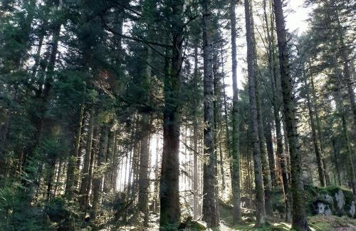 Charmante maisonnette en pierre près d'Épinal - FR-1-589-804 - Foto 14