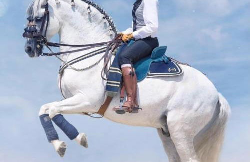 Linda‘s Ferien-Pferdehof - Foto 23