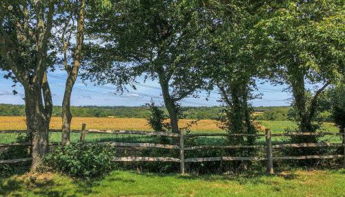 Hornbeam - Uk44262 - Foto 2, Garden