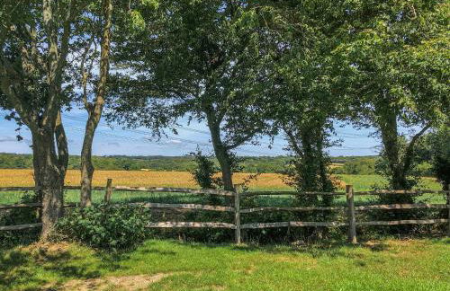 Hornbeam - Uk44262 - Foto 2