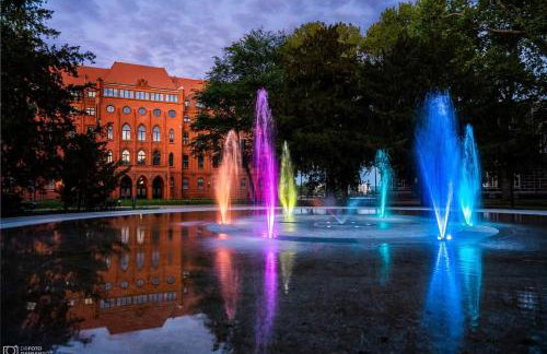 Apartament B & S - Free Garage Parking - Foto 52