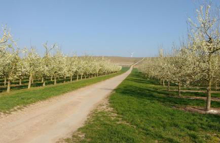 Antjes Ferienwohnung Flonheim - Foto 19