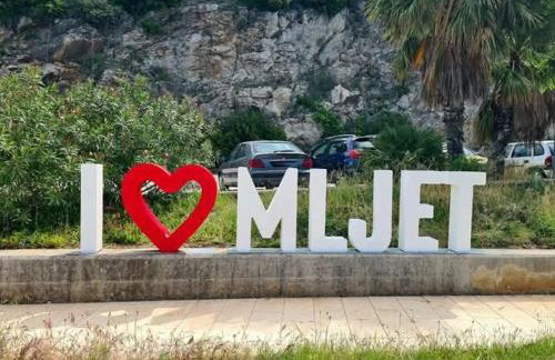 Studio apartment Dragana - Foto 6