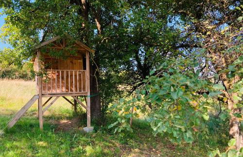 Langegger Alm - Almhütte - Foto 8