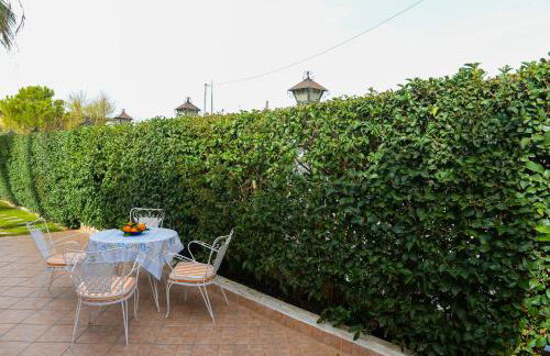 Patras Palm Tree - Foto 40