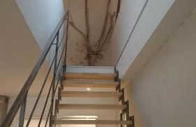 Mazet Des Artistes - Foto 49