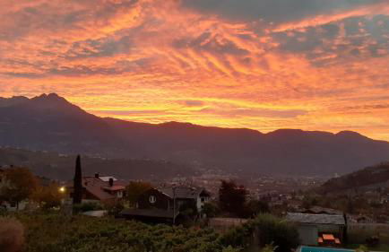 Fröhlichhof Wohnung Pergola - Foto 28